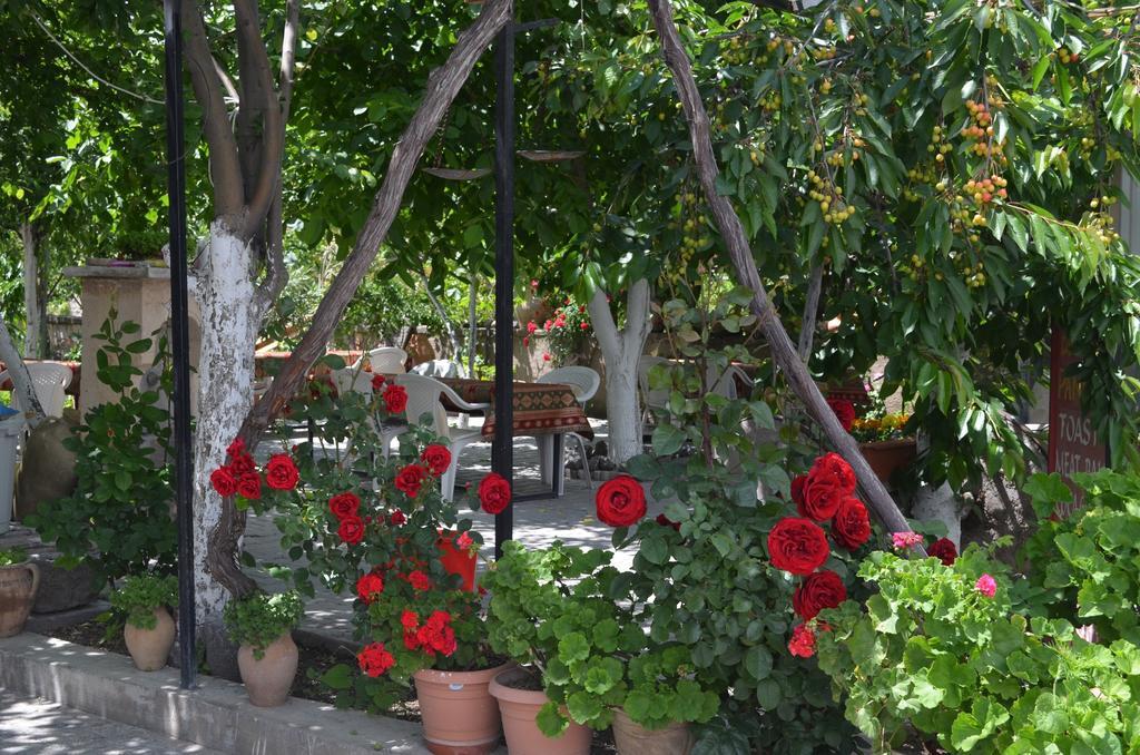 Erciyes Stone Hotel Üçhisar Ngoại thất bức ảnh