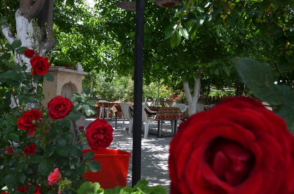 Erciyes Stone Hotel Üçhisar Ngoại thất bức ảnh